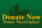 Donate Now